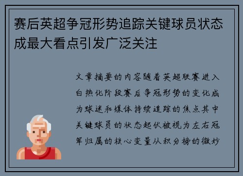 赛后英超争冠形势追踪关键球员状态成最大看点引发广泛关注 赛后英超争冠形势追踪关键球员状态成最大看点引发广泛关注